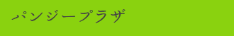 パンジープラザ